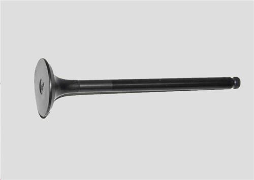SUBAP EMME EGZOZ H100 YENİ MOTOR