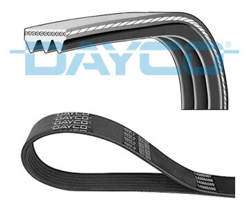 KANALLI KAYIŞ RENAULT SAFRANE 2.0 92-96 HONDA LEXUS TOYOTA 38356