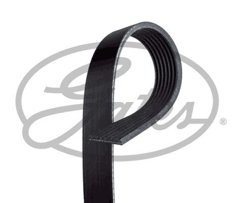 KANALLI KAYIŞ TRANSIT V363-V348 11>14 2.2 TDCI 155PS KLIMALI