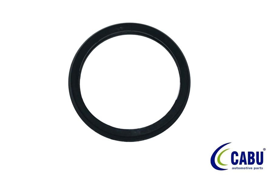 TERMOSTAT CONTASI CONNECT 02>14 1.8 TDCI