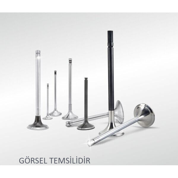 SUBAP EMME EGZOZ TAKIM STD TRANSIT V.362-V.363 2.0 ECOBLUE 17> 2.0 PANTER