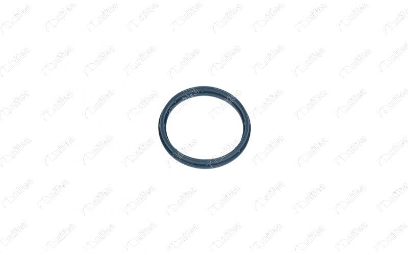 EMME MANİFOLD BOĞAZ CONTA FORD-FİAT-PEUGEOT-CİTROEN-TRANSİT-BOXER-JUMPER-DUCATO 01> 2.0-2.2-2.4 TDCİ -HDİ