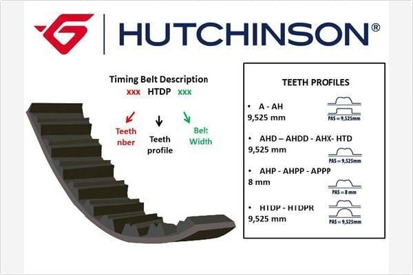 TRİGER KAYIŞI 134x254 134 DİŞ P206-P307 1.6 PARTNER 1.6 00 > CT1065