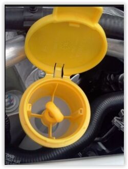 CAM SU FİSKİYE DEPO KAPAĞI RENAULT MEGANE III 09> FLUENCE 09> CLIO IV 12>