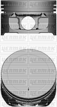 MOTOR PİSTON SEGMAN STD P106-P206-P306-P307-P308-PARTNER-BERLINGO-C2-C3-C4-XSARA TU5JP4 1.6 16V TEPE YÜK 0.15 MM 109 KW