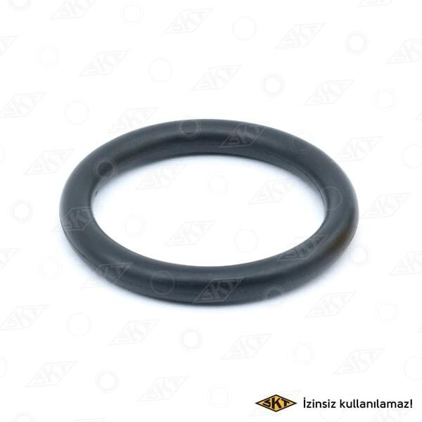 DİFERANSİYEL SAĞ-SOL ÇIKIŞ RENAULT 12 TOROS