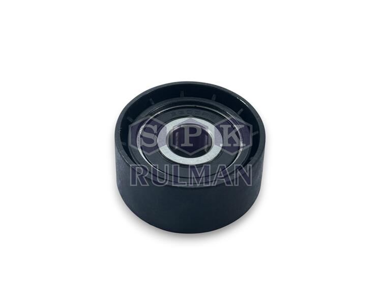 ALTERNATÖR GERGİ RULMAN TEK RULMAN P206-306-EXPERT-PARTNER-BERLINGO-JUMPY-XSARA-SCUDO 1.9D 98- DW8-BW8B