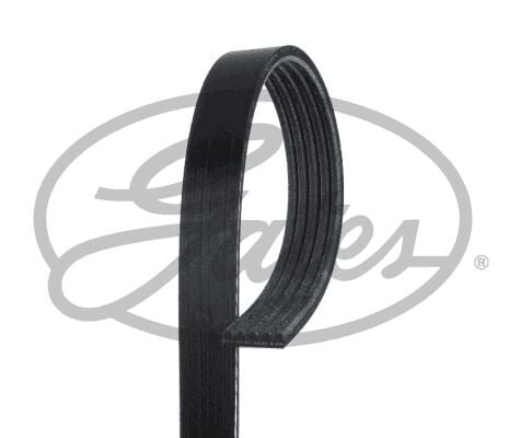 KANALLI KAYIŞ ASTRA H 1.6-1.8-VECTRA C 1.8 05 > 5PK 1545