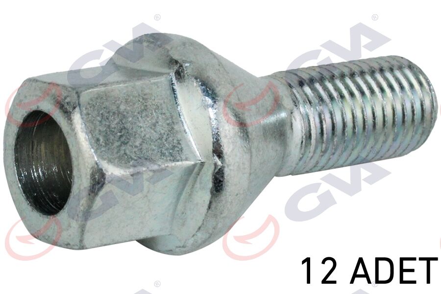 BİJON CİVATASI RENAULT MEGANE-CLIO Y.M. DACIA DUSTER-LOGAN DELİKLİ TİP PAKET 12